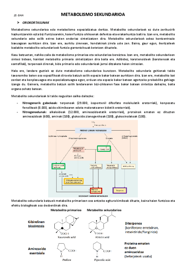 Miniatura del documento 15.-Metabolismo-sekundarioa.pdf