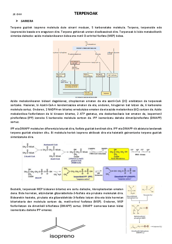 Miniatura del documento 16.-Terpenoak.pdf