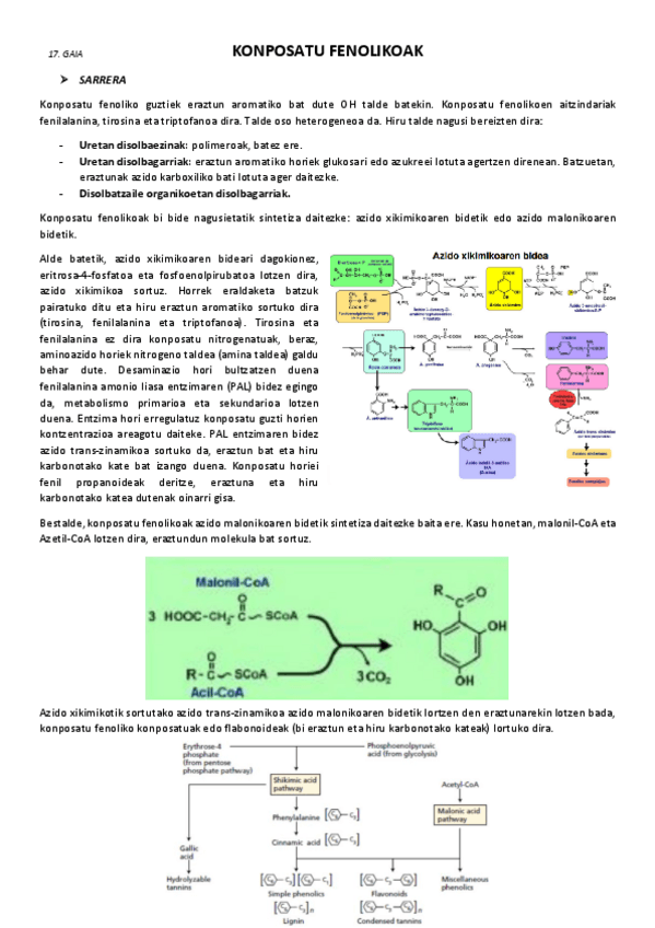 Miniatura del documento 17.-Konposatu-fenolikoak.pdf