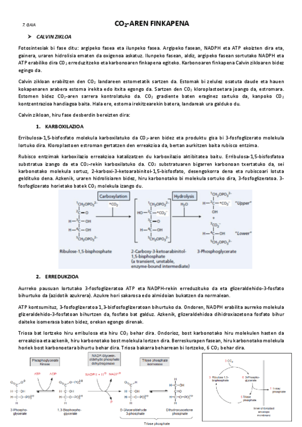 Miniatura del documento 7.-Karbono-dioxidoaren-finkapena.pdf