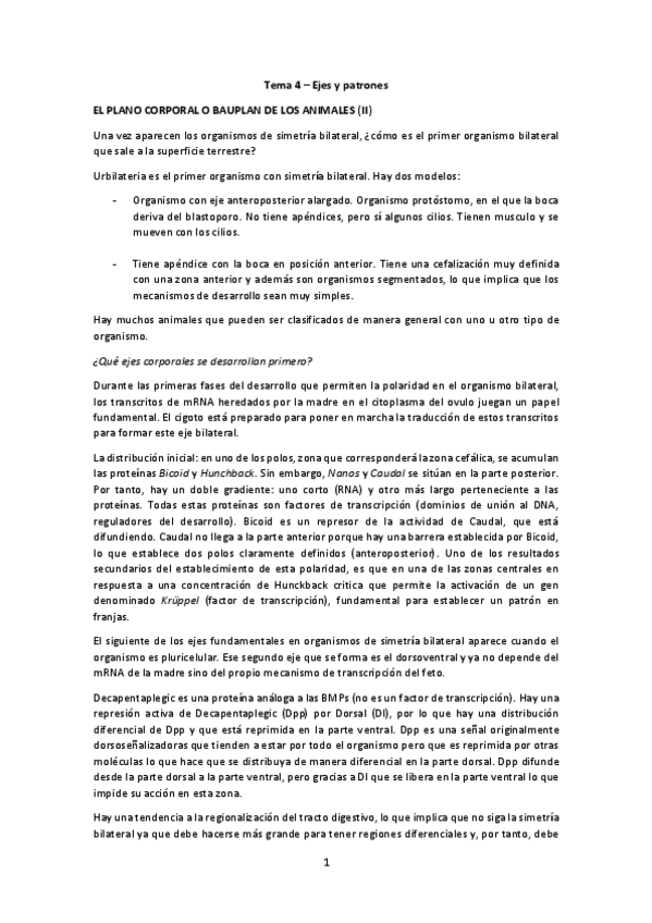 Miniatura del documento Ejes y patrones.pdf