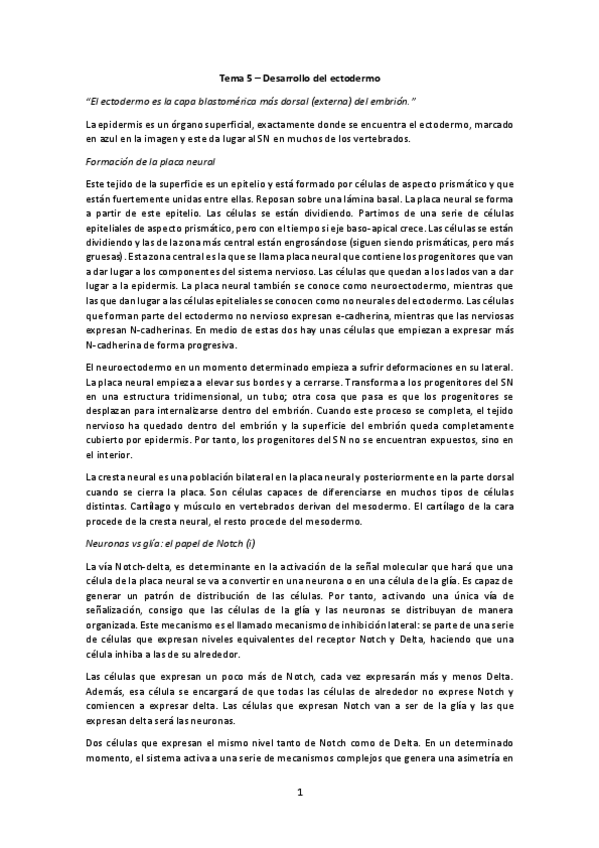 Miniatura del documento Desarrollo del ectodermo.pdf