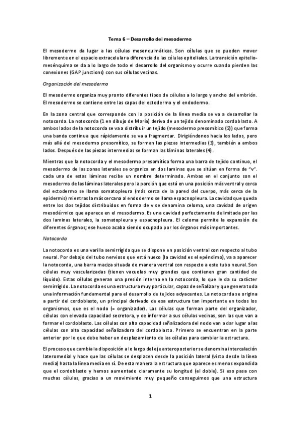 Miniatura del documento Mesodermo.pdf