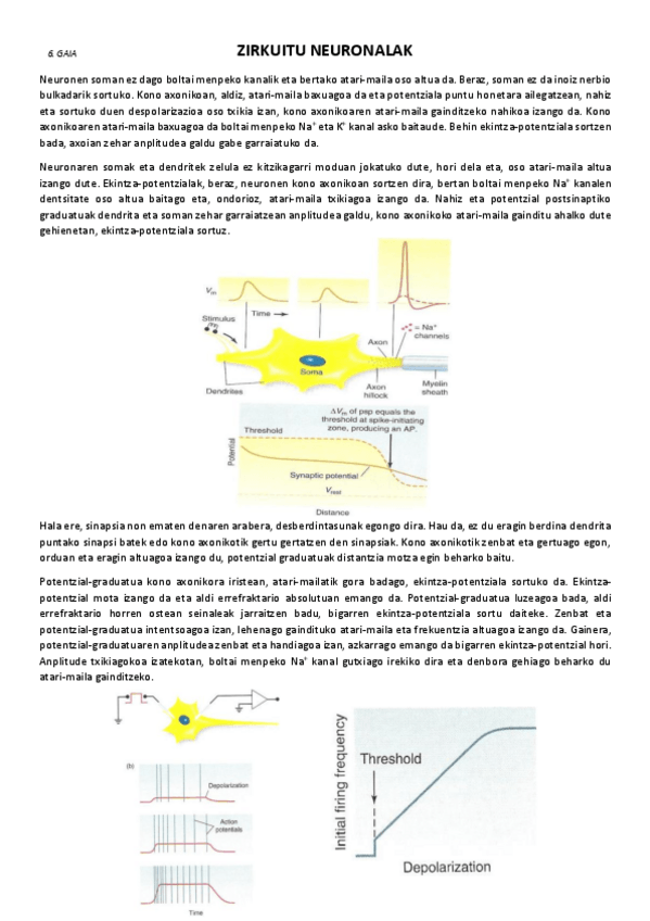 Miniatura del documento 6.-Zirkuitu-neuronalak.pdf