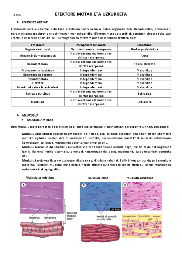 Miniatura del documento 9.-Efektore-motak-eta-uzkurketa.pdf