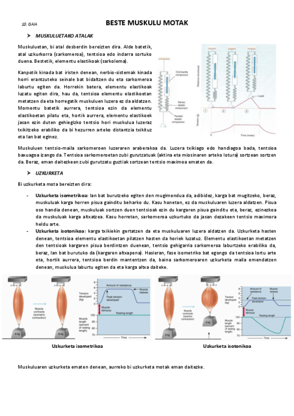 Miniatura del documento 10.-Beste-muskulu-motak.pdf