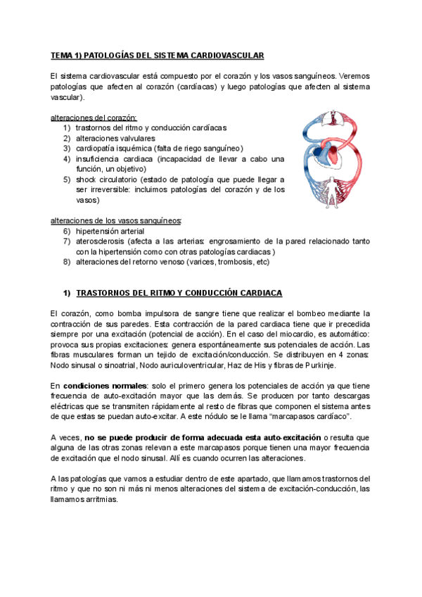 Miniatura del documento TEMA-1-PATOLOGIAS-DEL-SISTEMA-CARDIOVASCULAR.pdf
