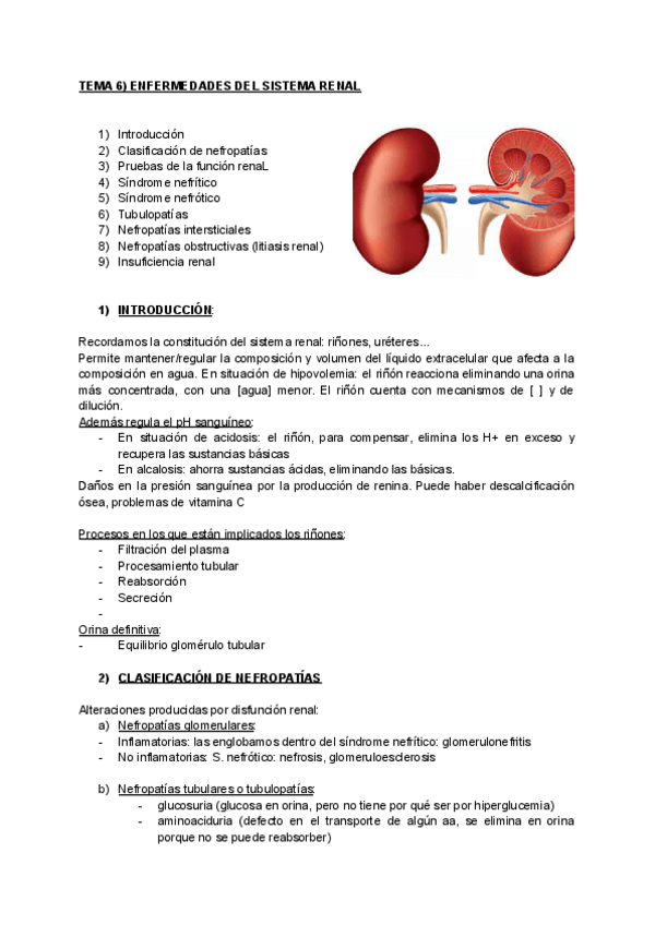 Miniatura del documento TEMA-6-ENFERMEDADES-RENALES.pdf