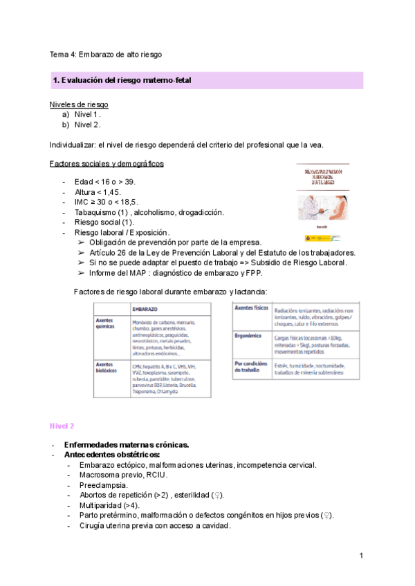 Miniatura del documento TEMA-4-Embarazo-de-alto-riesgo.pdf