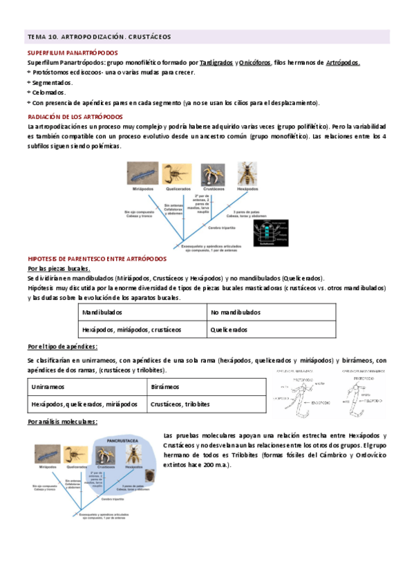 Miniatura del documento zoologia-segunda-parte.pdf