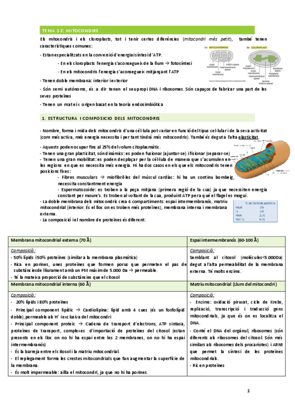 Miniatura del documento Apunts-del-2n-Parcial.pdf
