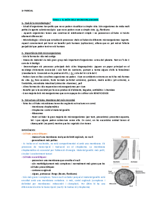 Miniatura del documento 1r-PARCIAL.pdf