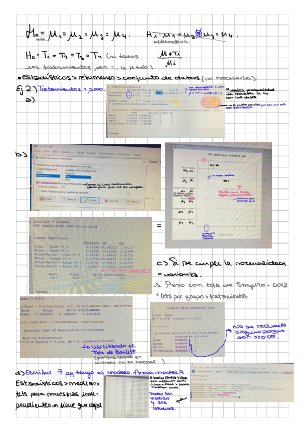 Miniatura del documento p4-anotaciones-bioest.pdf