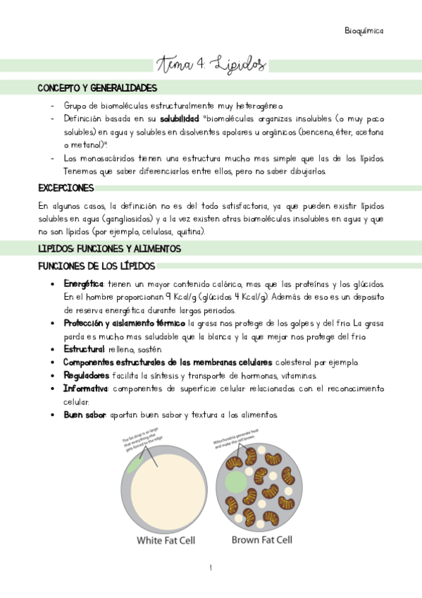 Miniatura del documento Tema-4.pdf