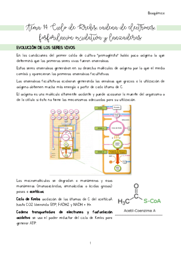 Miniatura del documento Tema-14.pdf