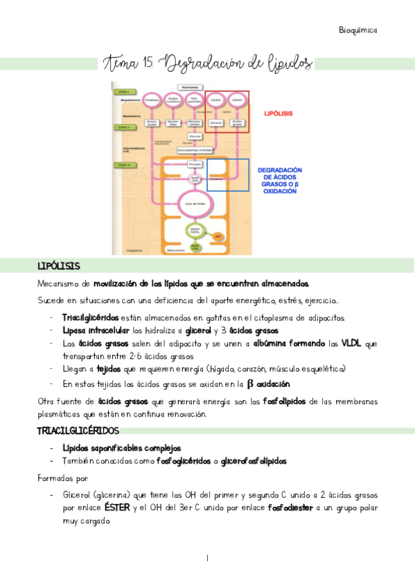 Miniatura del documento Tema-15.pdf