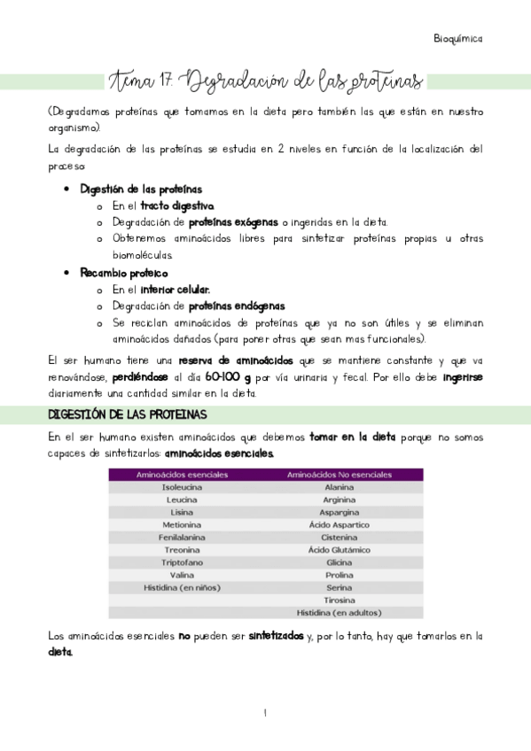 Miniatura del documento Tema-17.pdf