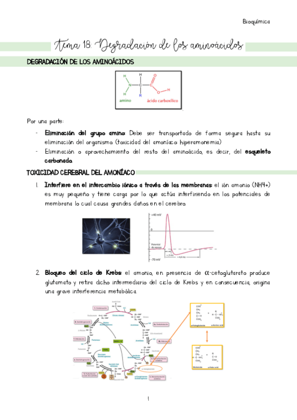 Miniatura del documento Tema-18.pdf