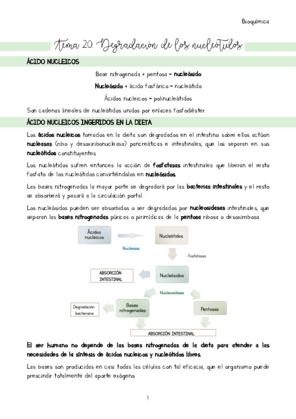 Miniatura del documento Tema-20-Introduccion.pdf