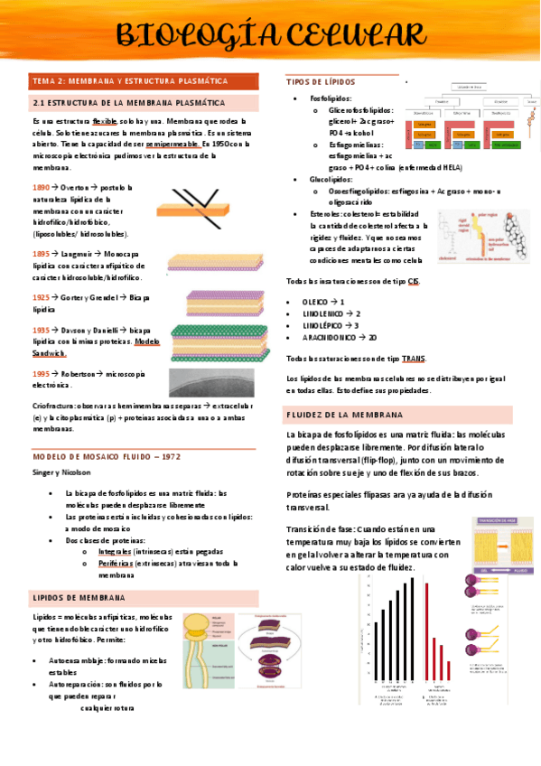 Miniatura del documento Apuntes-tema-1-6.pdf