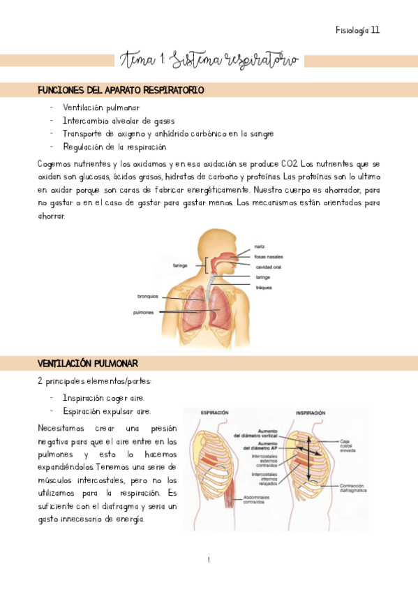 Miniatura del documento Tema-1.pdf