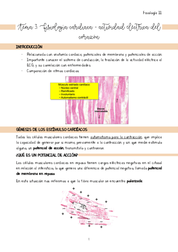 Miniatura del documento Tema-3.pdf