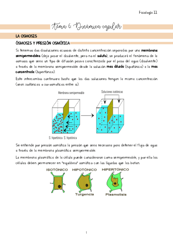 Miniatura del documento Tema-6.pdf