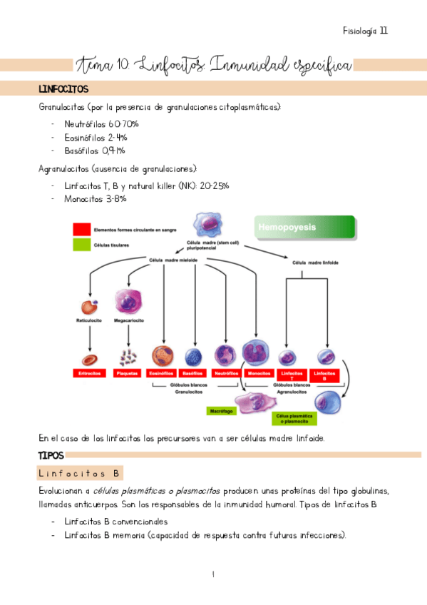Miniatura del documento Tema-10.pdf