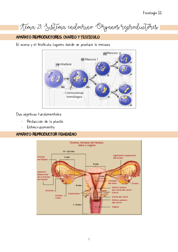 Miniatura del documento Tema-21.pdf