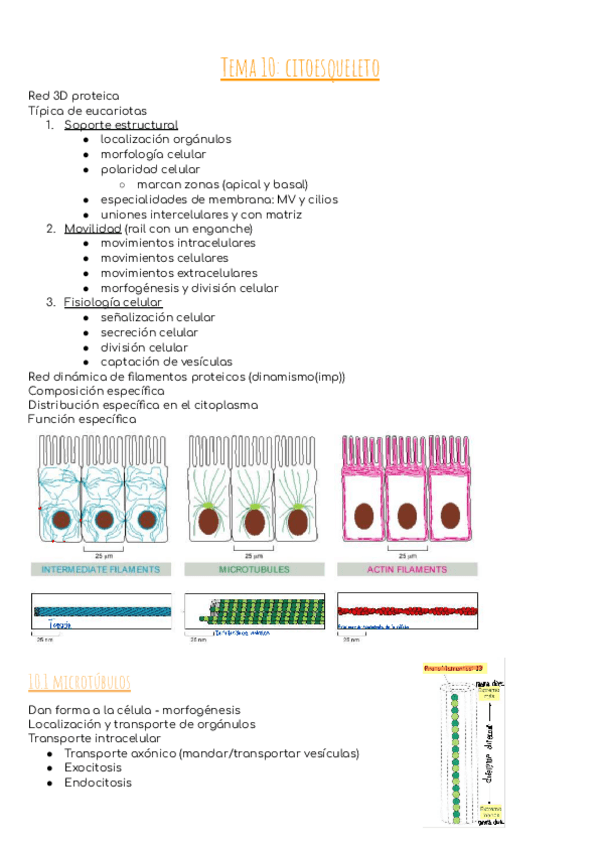 Miniatura del documento BIC-tema-10.pdf