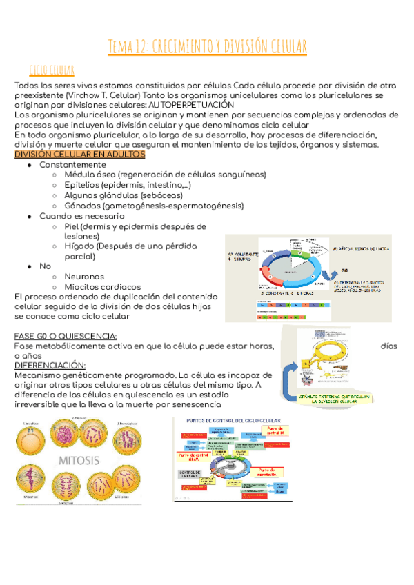 Miniatura del documento Tema-12-CRECIMIENTO-Y-DIVISION-CELULAR.pdf