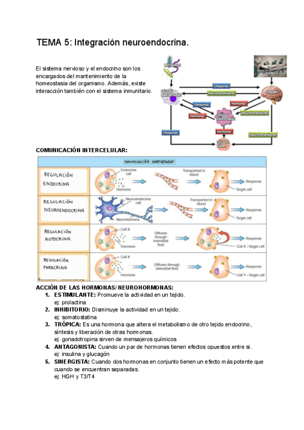 Miniatura del documento TEMA-5-Integracion-neuroendocrina..pdf