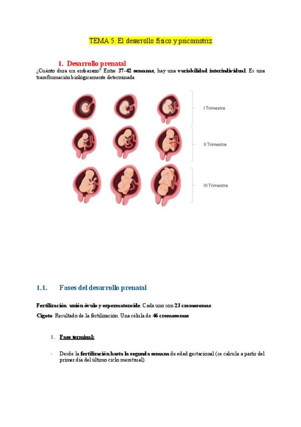 Miniatura del documento TEMA-5.pdf