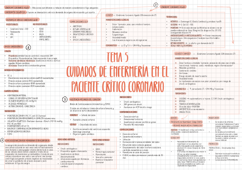 Miniatura del documento ESQ-T5.pdf