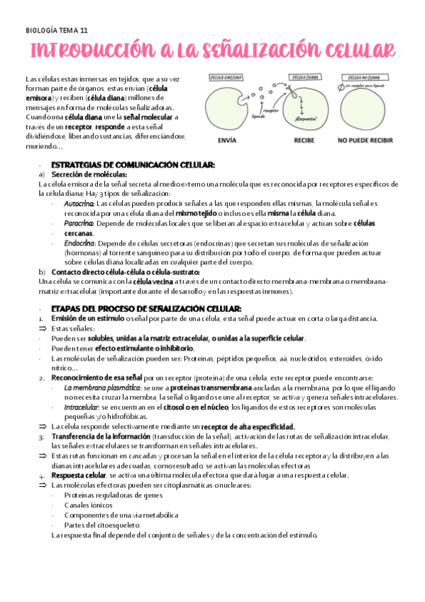 Miniatura del documento BIOLOGIA-TEMA-11-SENALIZACION-CELULAR.pdf