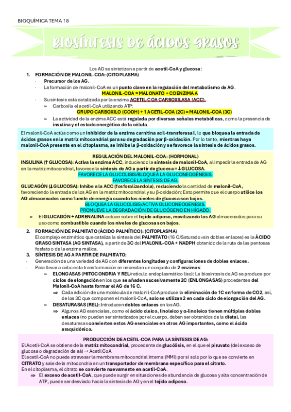 Miniatura del documento BIOQUIMICA-TEMA-18-BIOSINTESIS-DE-AG.pdf