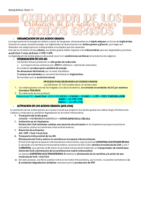 Miniatura del documento BIOQUIMICA-TEMA-17-OXIDACION-DE-LOS-AG.pdf