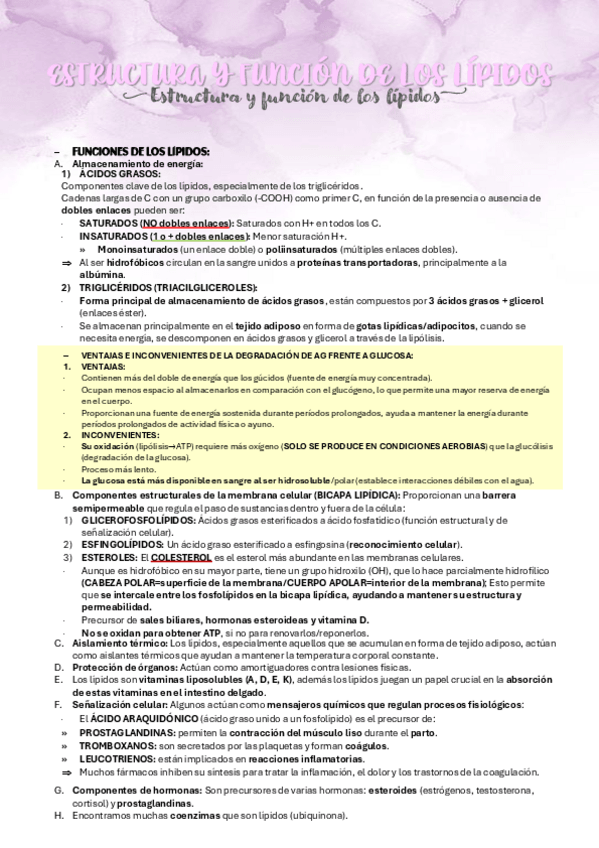 Miniatura del documento BIOQUIMICA-TEMA-16-ESTRUCTURA-Y-FUNCION-DE-LOS-LIPIDOS.pdf