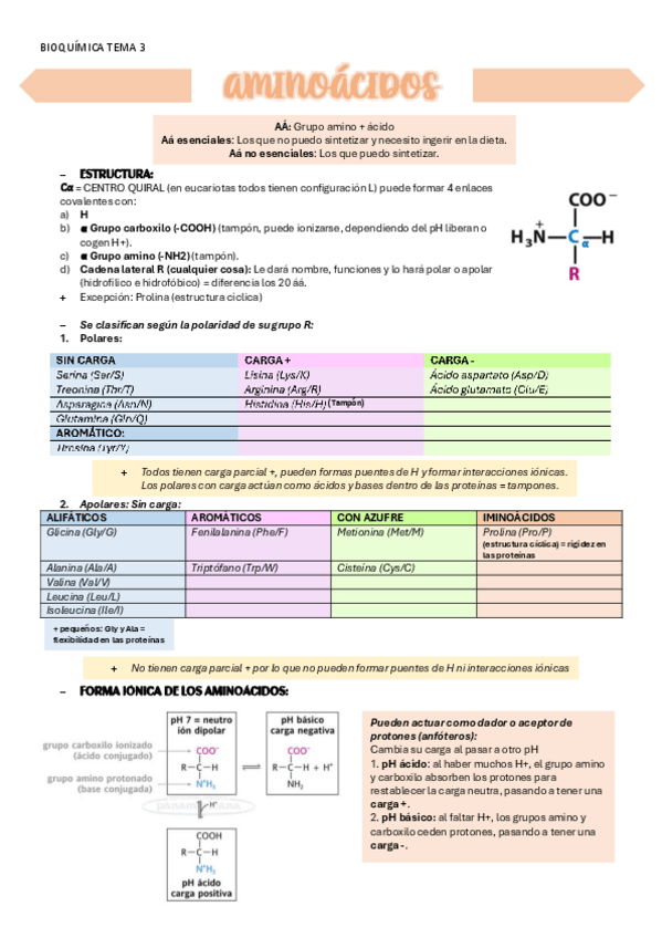 Miniatura del documento BIOQUIMICA-TEMA-3-AA.pdf
