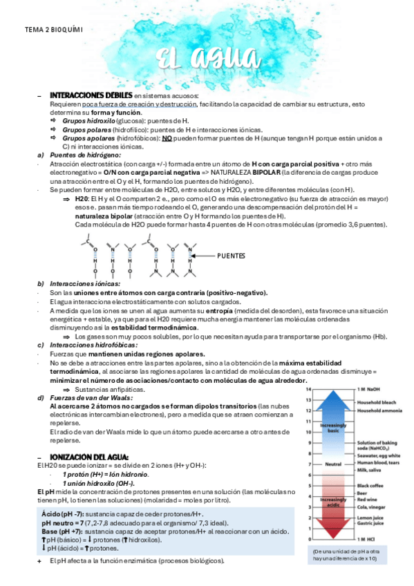 Miniatura del documento BIOQUIMICA-TEMA-2-AGUA.pdf