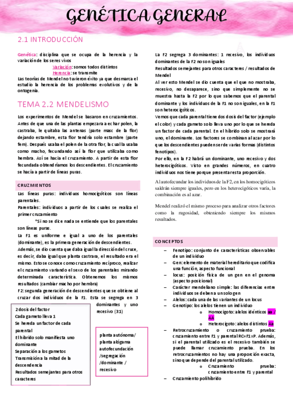 Miniatura del documento genetica-general-temas-del-2-al-4.5.pdf