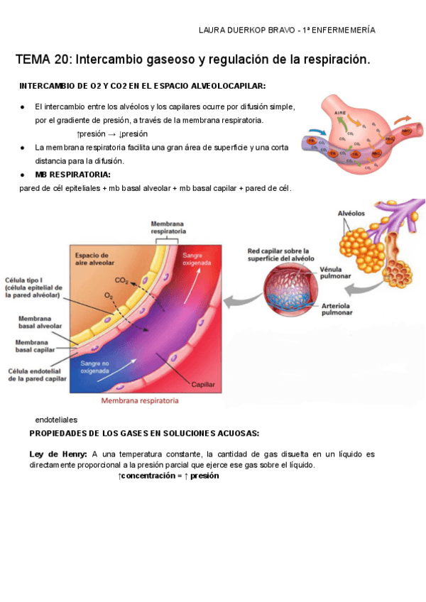 Miniatura del documento TEMA-20-Intercambio-gaseoso-y-regulacion-de-la-respiracion..pdf