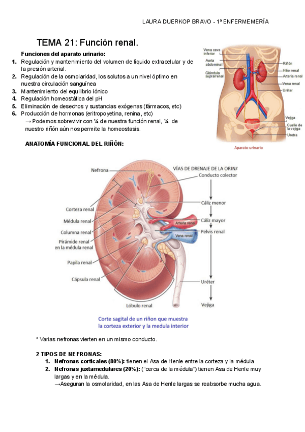 Miniatura del documento TEMA-21-Funcion-renal..pdf
