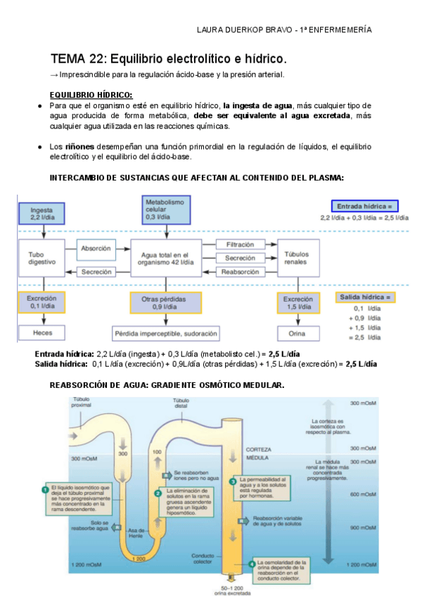 Miniatura del documento TEMA-22-Equilibrio-electrolitico-e-hidrico..pdf