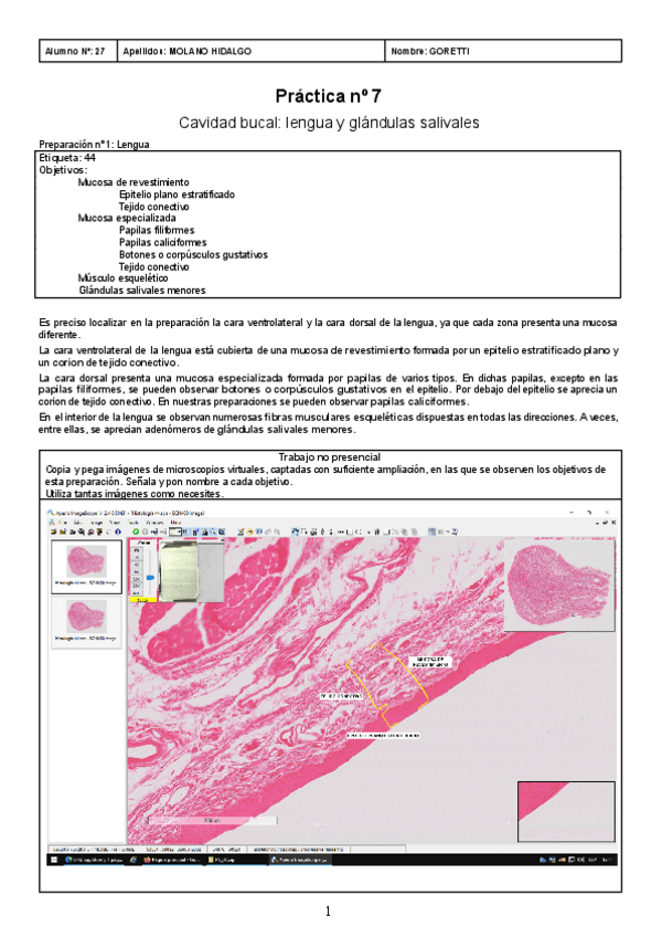 Miniatura del documento Practica-07-Goretti-Molano-27.docx.pdf