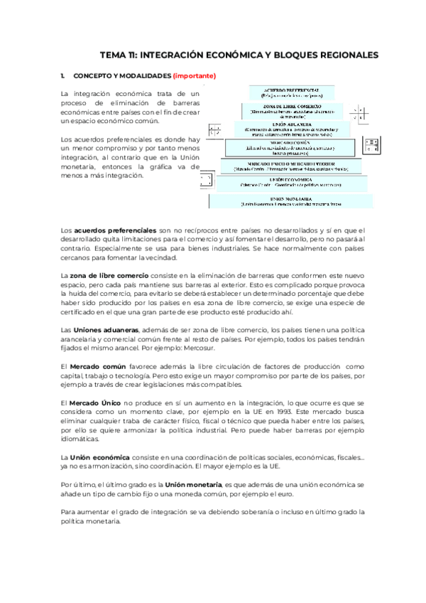 Miniatura del documento TEORIA-11.pdf