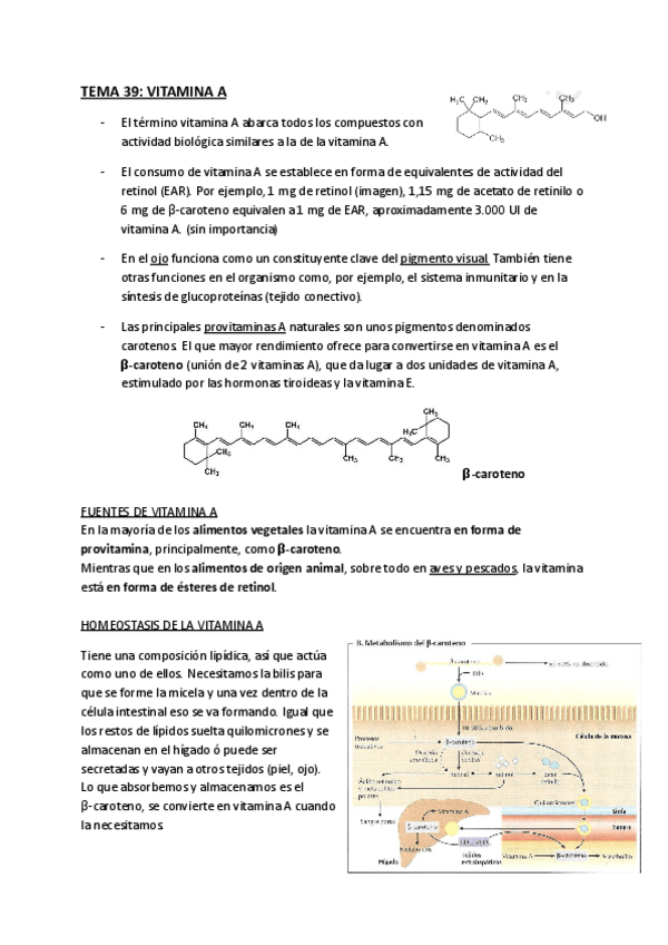 Miniatura del documento Tema-39-Vitamina-A.pdf