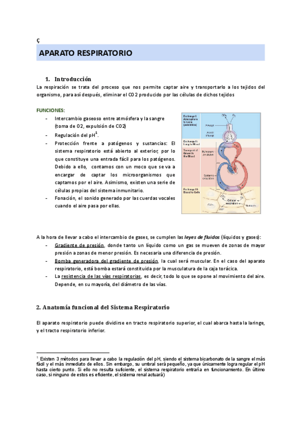 Miniatura del documento TEMA-6-Aparato-Respiratorio.pdf