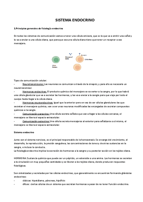 Miniatura del documento TEMA-7-SISTEMA-ENDOCRINO.pdf