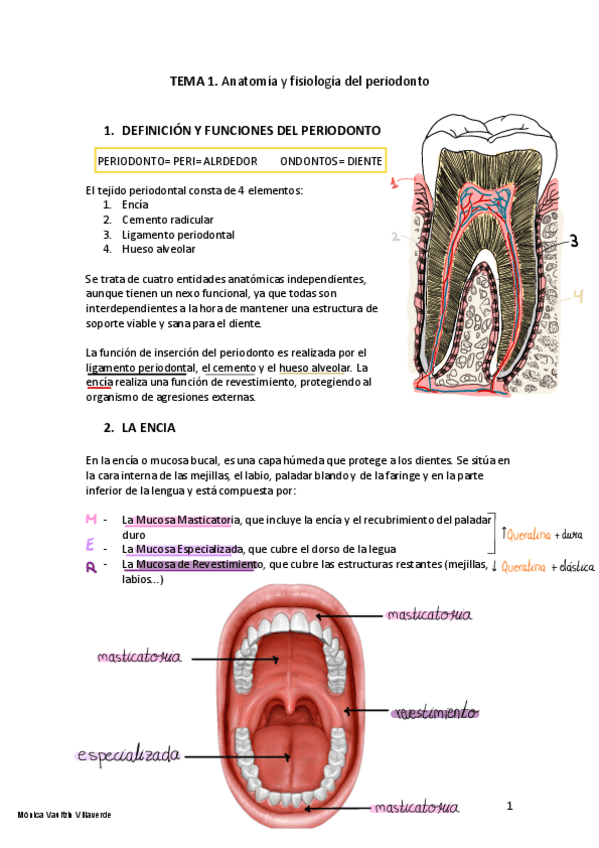 Miniatura del documento TEMA-1-PERIO-completo-dibujosimg.pdf